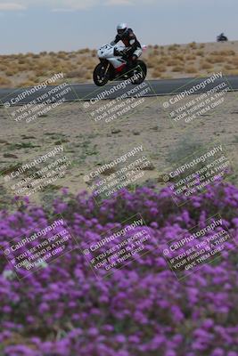 media/Jan-14-2023-SoCal Trackdays (Sat) [[497694156f]]/Turn 14 Exit Bloomig (145pm)/